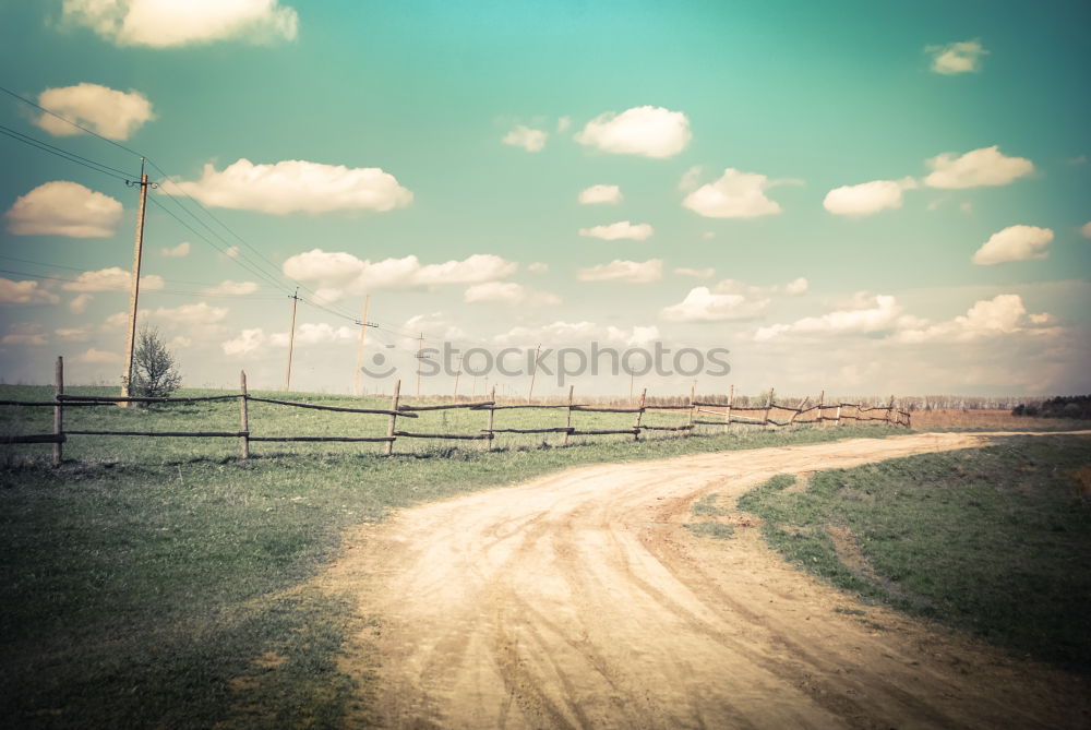 Similar – Nature Landscape Meadow