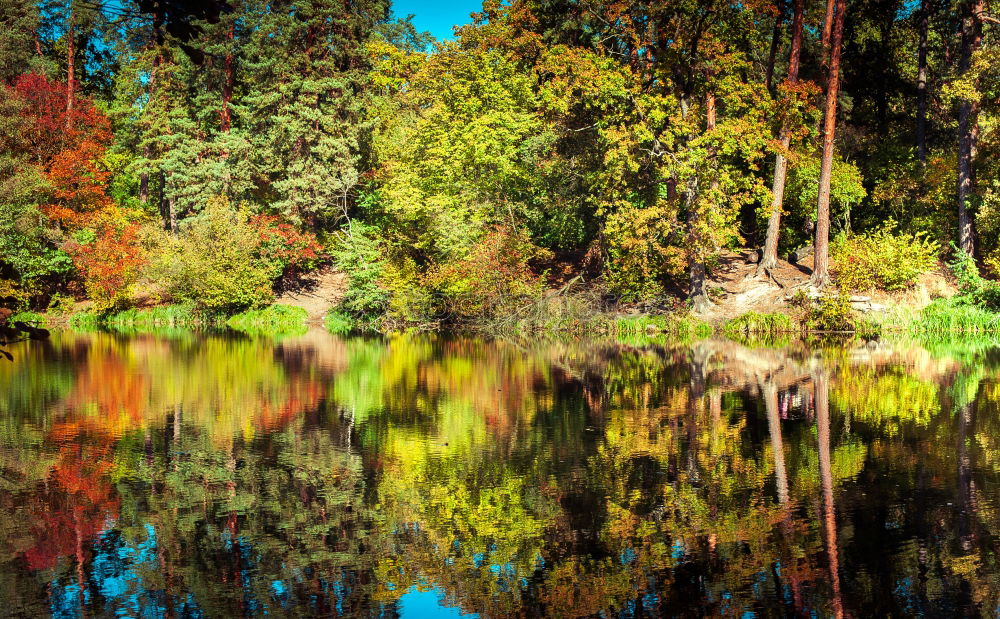 Similar – torii Nature Landscape