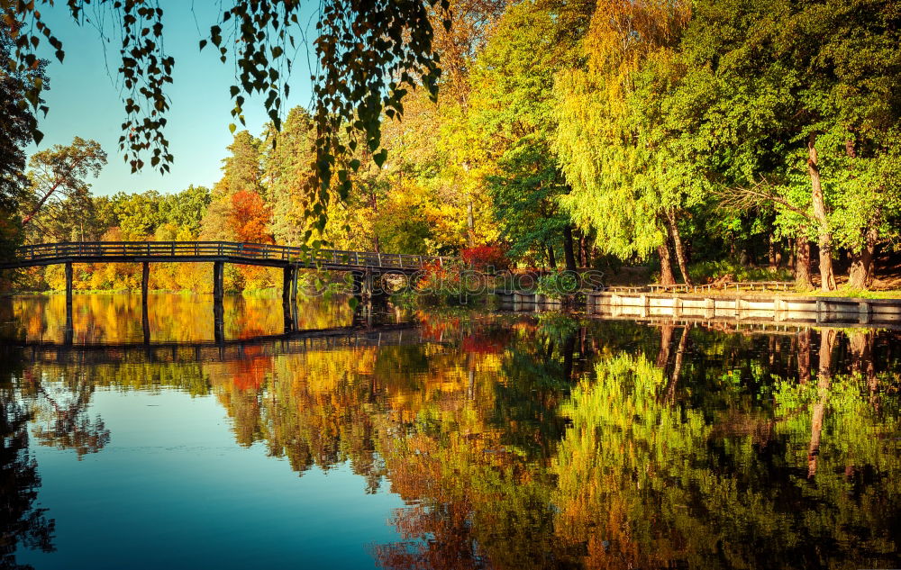 Similar – torii Nature Landscape