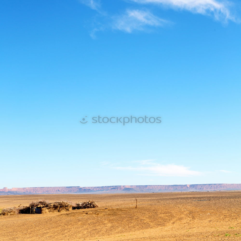 Image, Stock Photo free flight