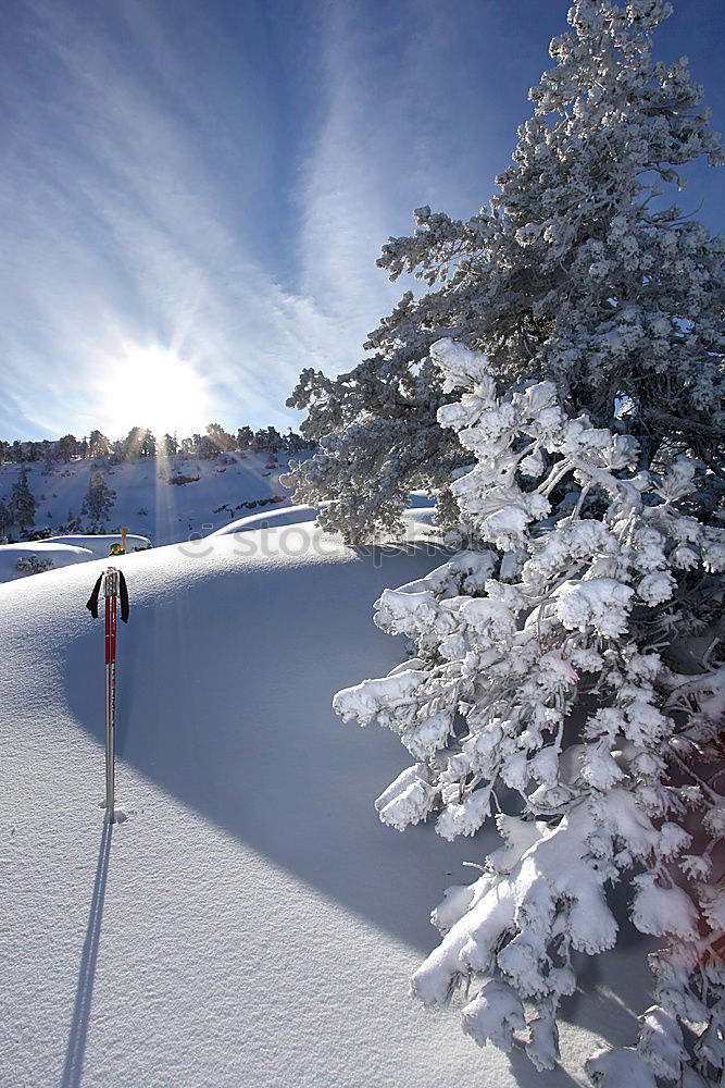 Similar – Image, Stock Photo snow landscape Winter Calm