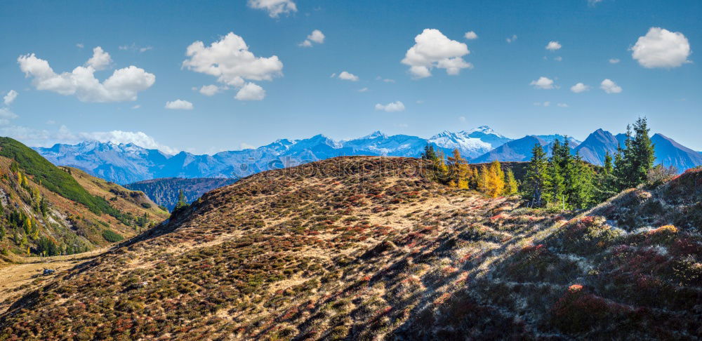 Similar – Image, Stock Photo Nepal Environment Nature