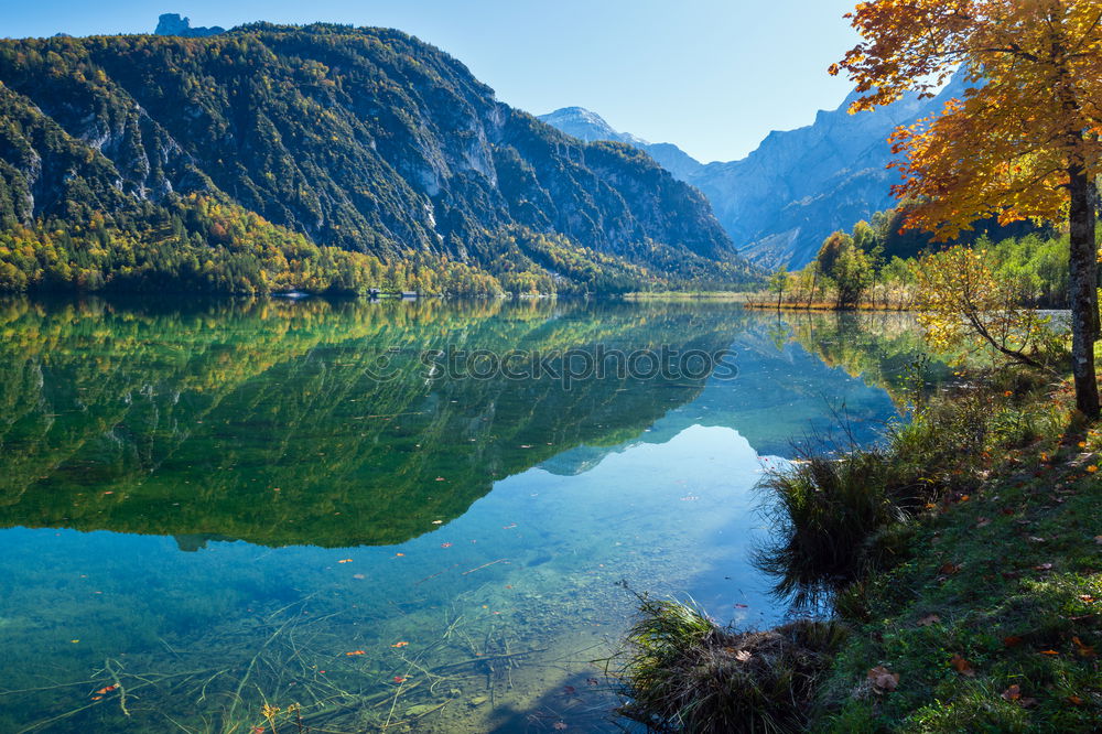 Similar – Image, Stock Photo District of Hohenschwangau and its castles