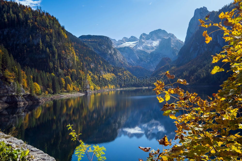 Similar – Image, Stock Photo District of Hohenschwangau and its castles