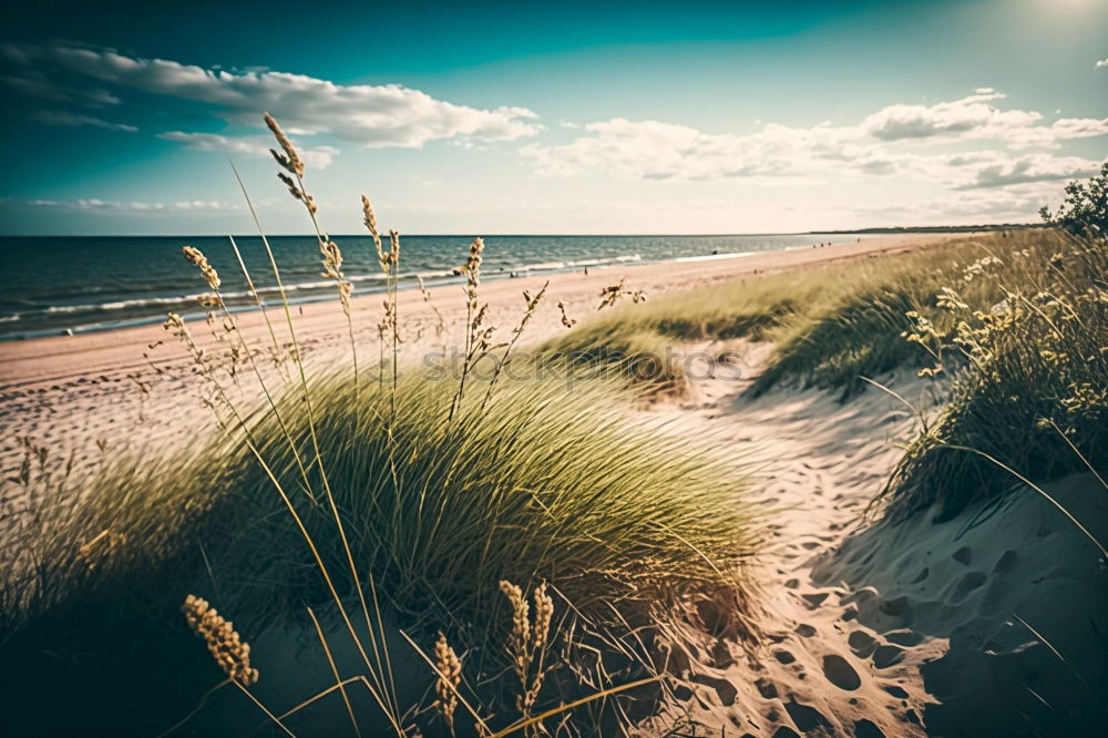 Similar – langeoog Langeoog Nordsee