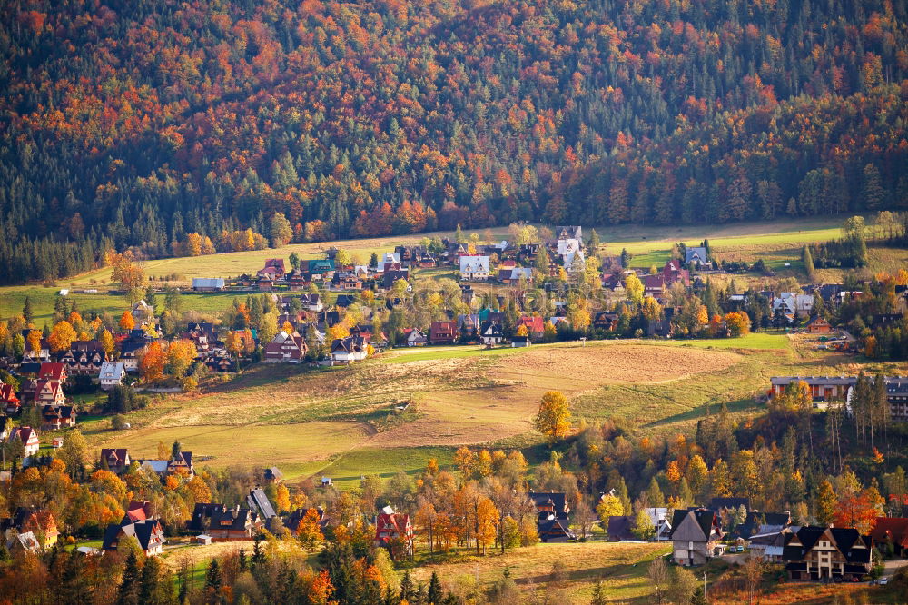 Similar – Image, Stock Photo Sunny October day in Malopolska mountain village