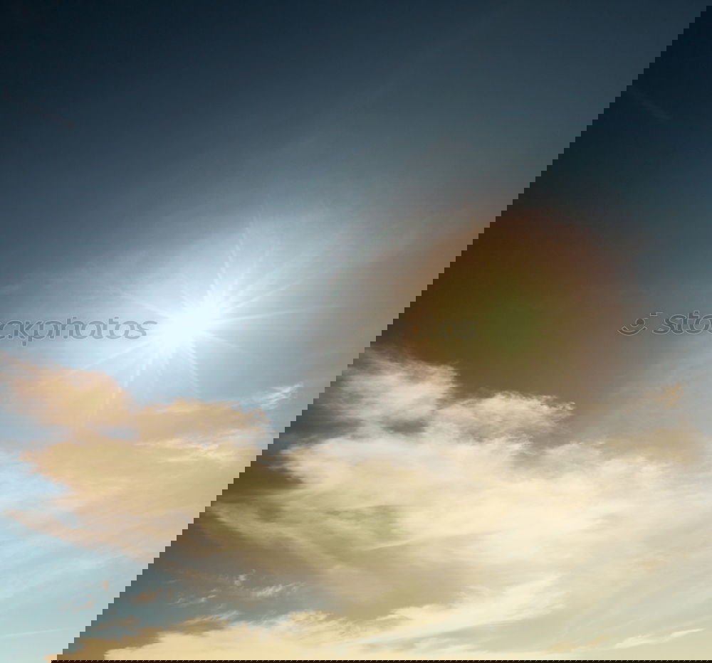 Similar – Image, Stock Photo Say hello to the sun