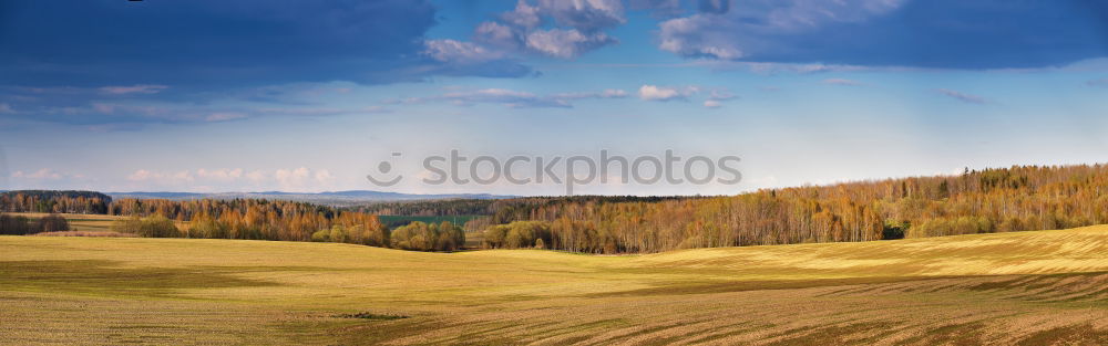 Similar – Image, Stock Photo Sunny field in spring