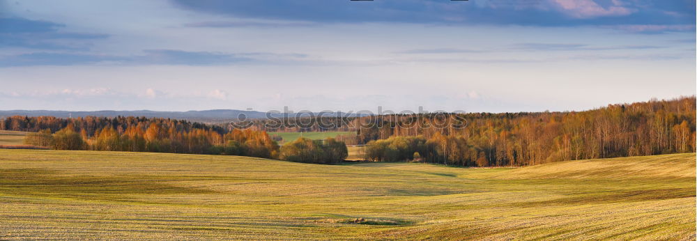 Similar – Curved serpentine road trough fall forest and village.