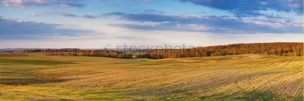 Similar – Image, Stock Photo Sunny field in spring