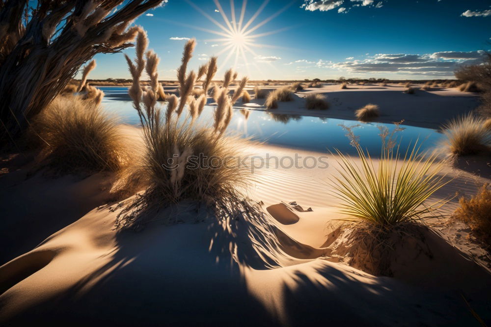 Image, Stock Photo Sunset on the murray river in Echuca, Australia