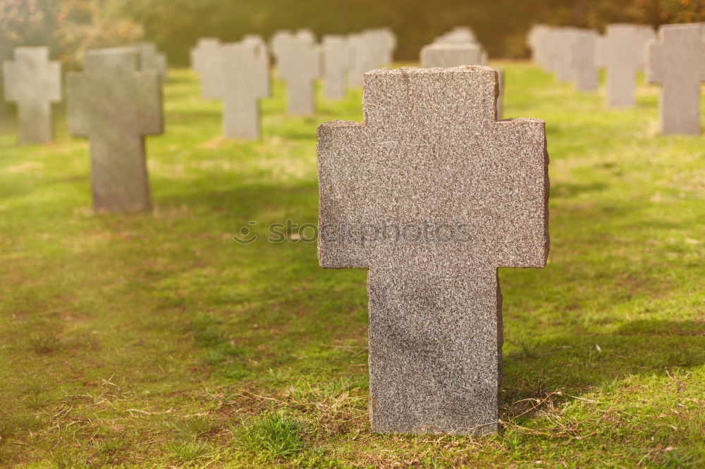 Similar – An old quiet graveyard in Macao, China