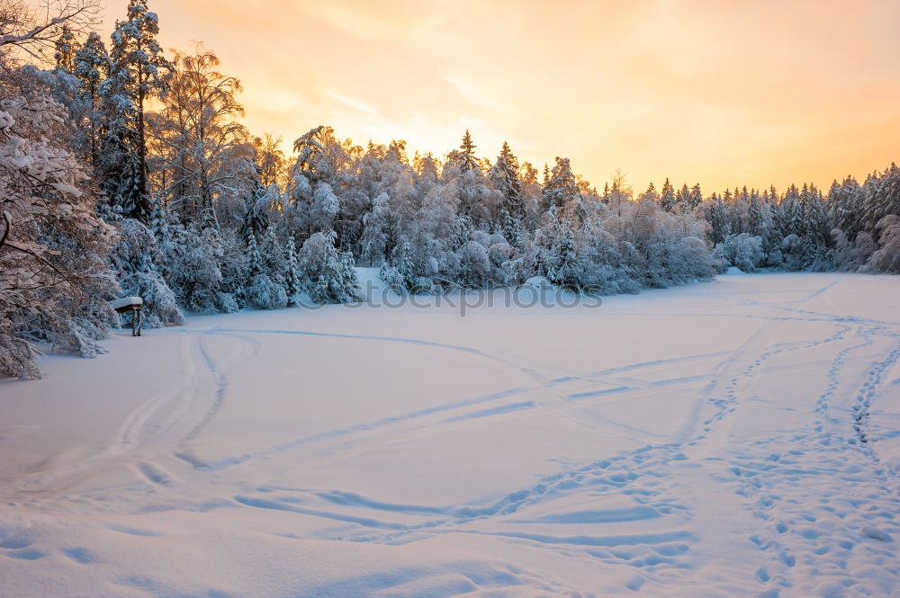 Similar – Foto Bild Winterstraße gepflügt