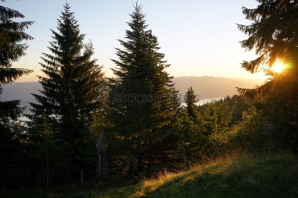 Similar – Image, Stock Photo Winterthur Environment