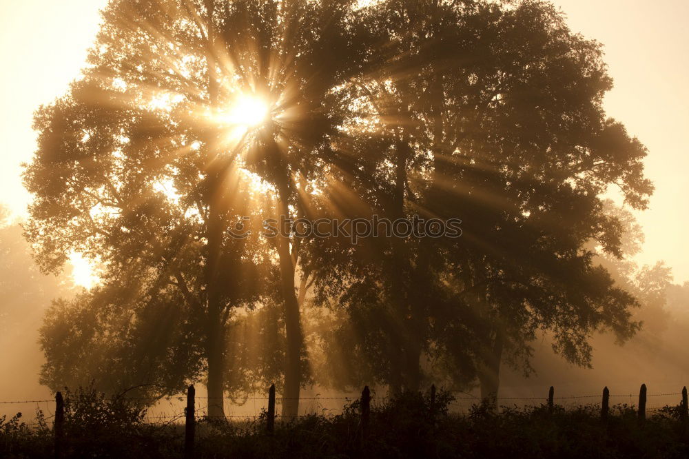 Similar – Foto Bild Sonnenaufgang im Allgäu