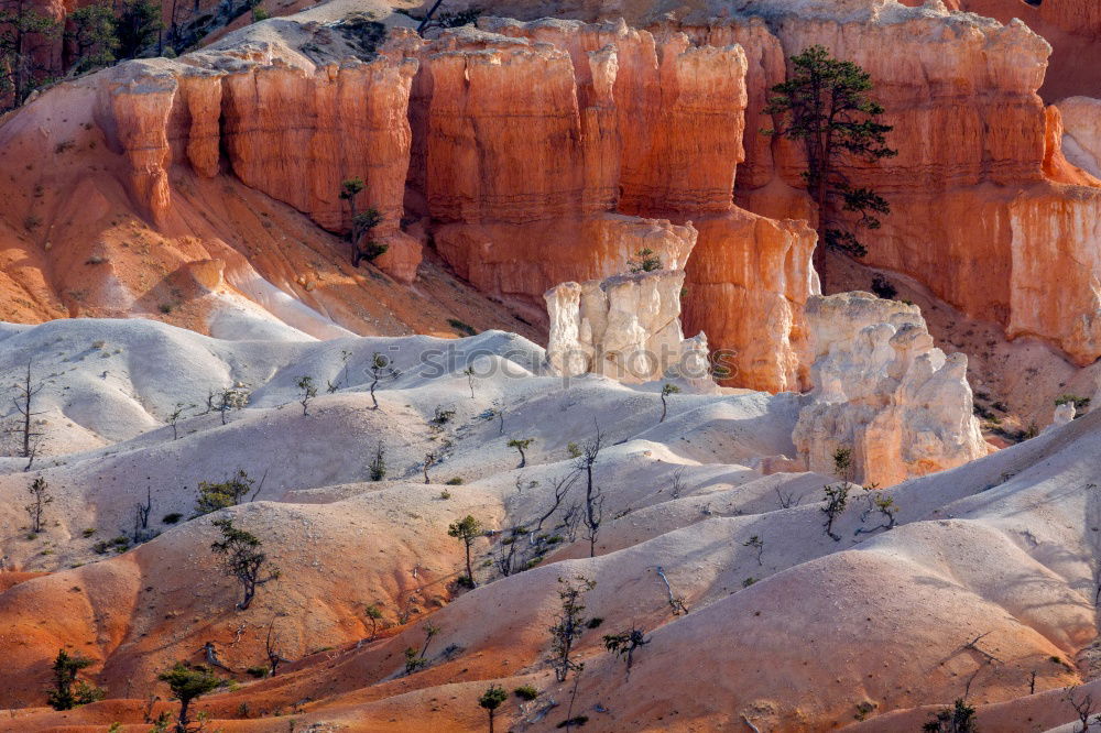 Similar – Foto Bild Cedar Breaks Umwelt Natur