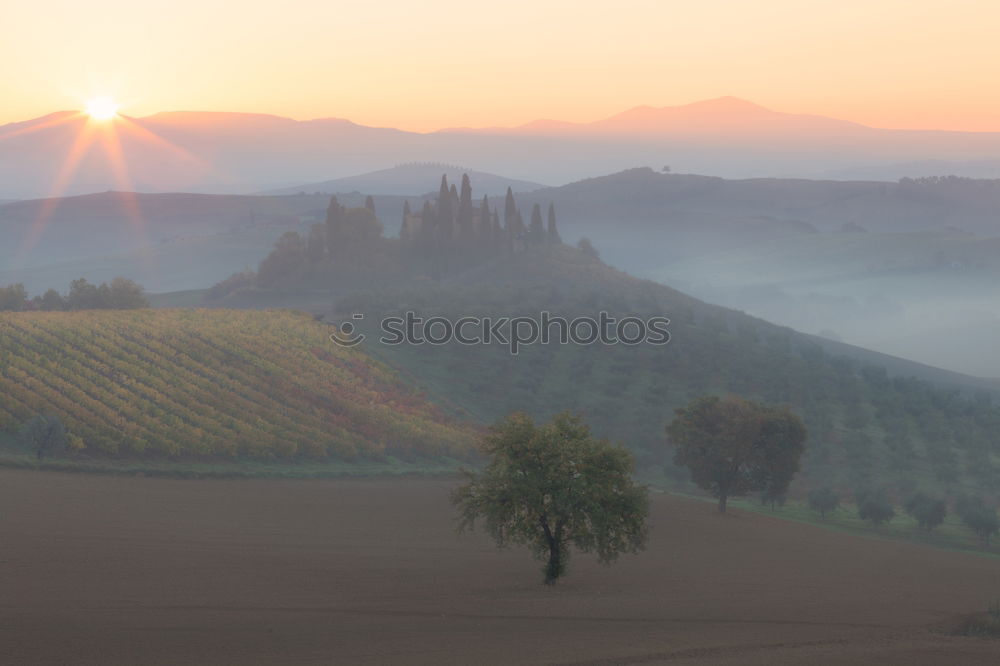 Similar – Tuscan olive trees and fields in the near farms, Italy