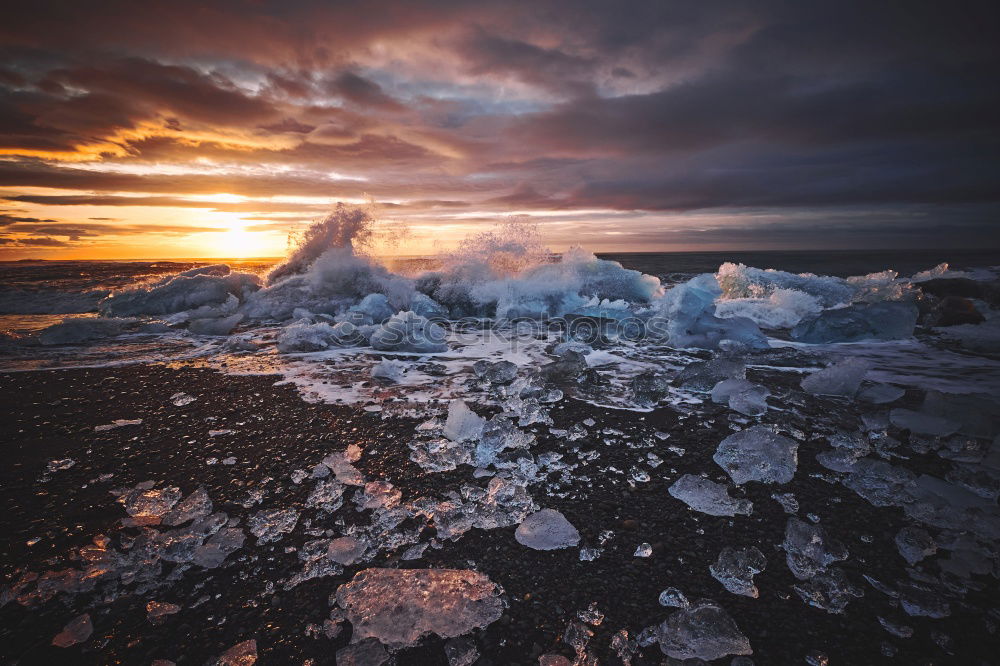 Similar – Glacier Bay Beautiful Life