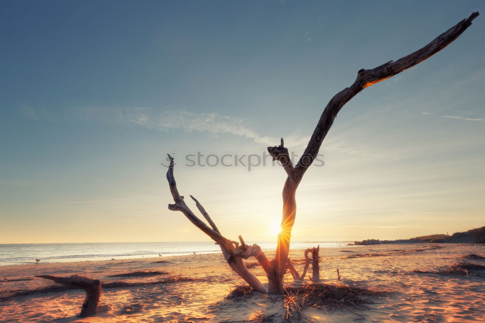 Similar – Image, Stock Photo Beach chairs on the beach of Kolberg I