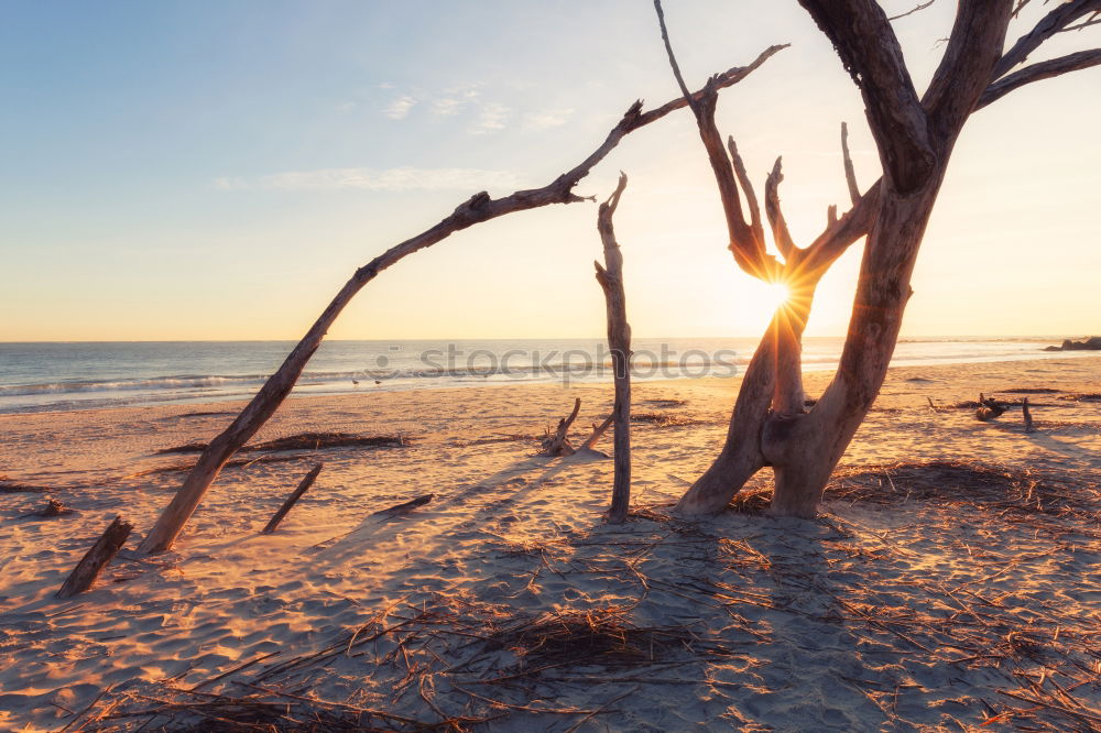 Similar – Image, Stock Photo Baltic Sea in North Sweden