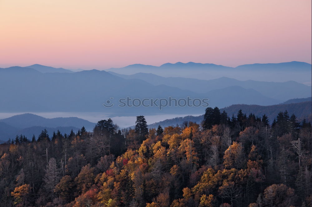 Similar – Beautiful orange and red autumn forest panorama