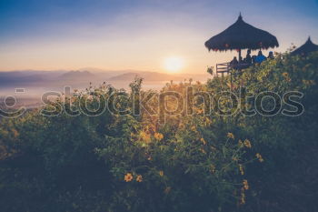 Similar – Foto Bild Bast-Sonnenschirme in Abenddämmerung
