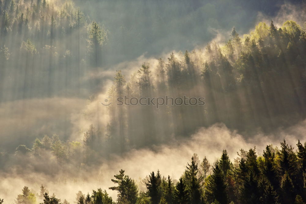 Similar – Thick fog over the valley, in late autumn. Austria.