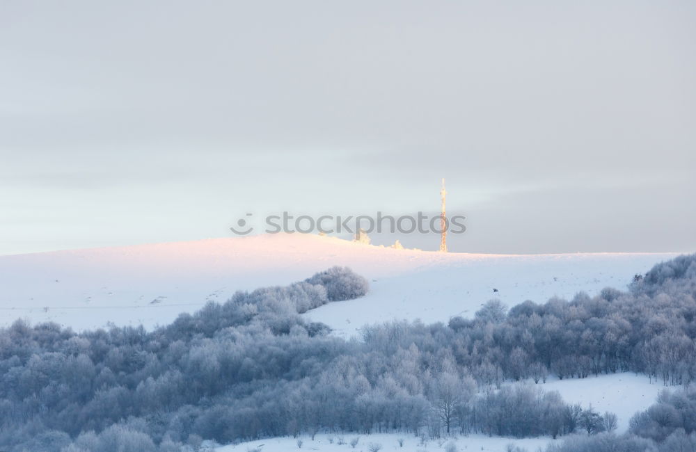 Similar – Foto Bild Eisweinberg Weinberg Ruine