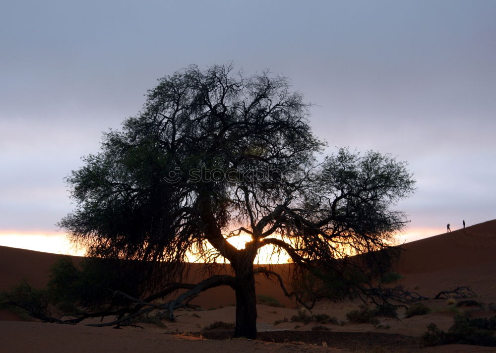 Similar – Outback3 Australia Sunset