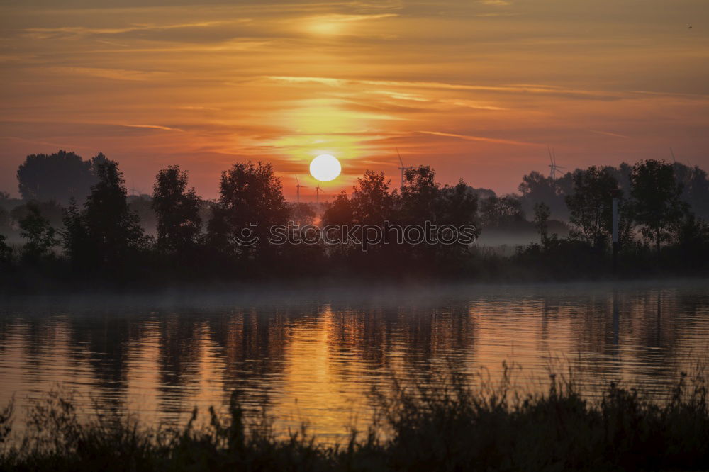 Similar – Image, Stock Photo Warm morning