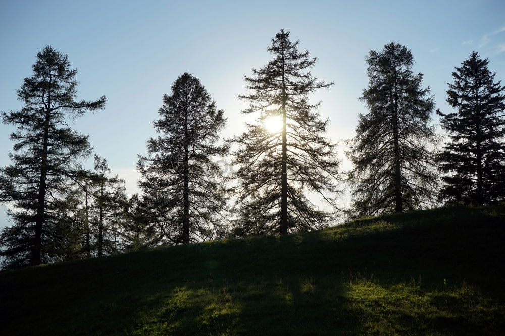 Similar – Image, Stock Photo Beautiful Tristesse Hiking