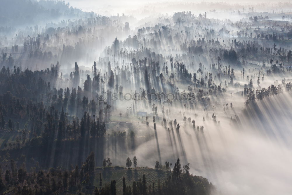 Similar – Image, Stock Photo Wildfire Burns Hill with Flames and Dramatic Smoke