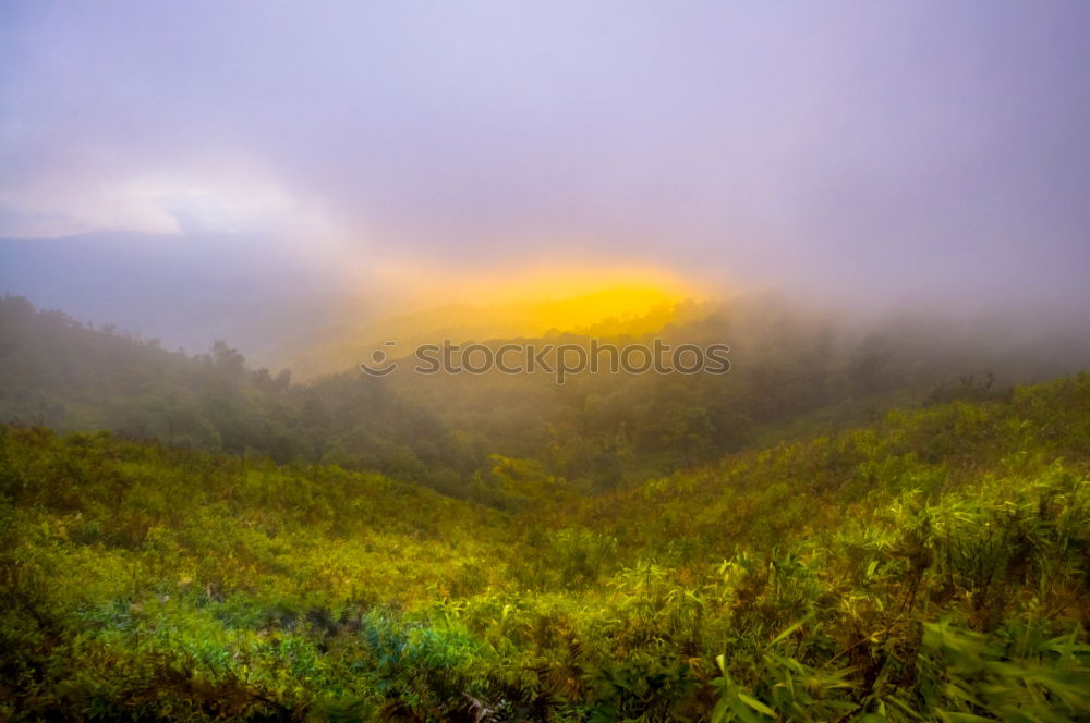 Similar – After the rain, moorland