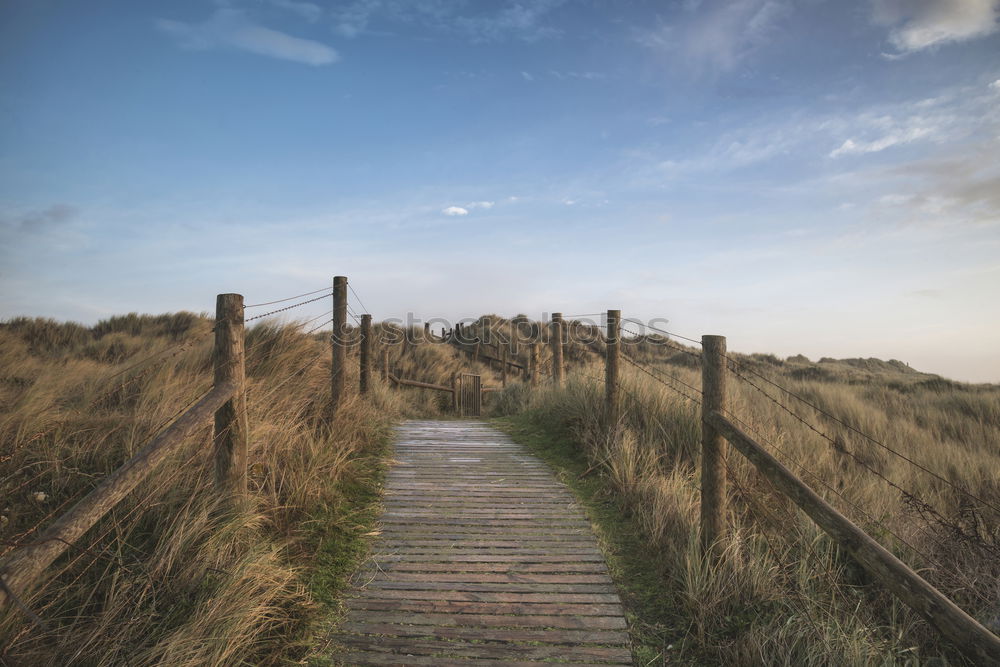 Similar – Image, Stock Photo Landscape in the dunes on the island of Amrum