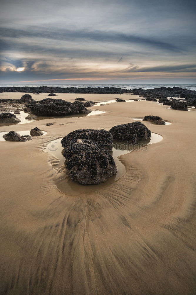 Similar – beach Nature Landscape