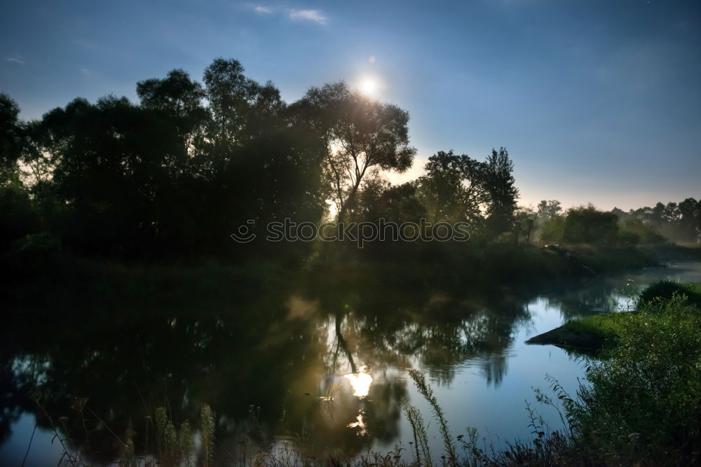 Similar – Weißensee Umwelt Natur