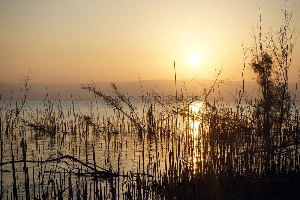 Similar – Image, Stock Photo city lake