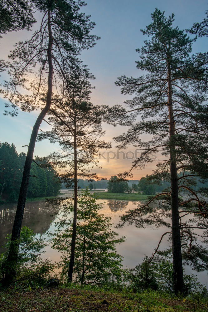 Similar – Image, Stock Photo Archipelago on the Swedish coast