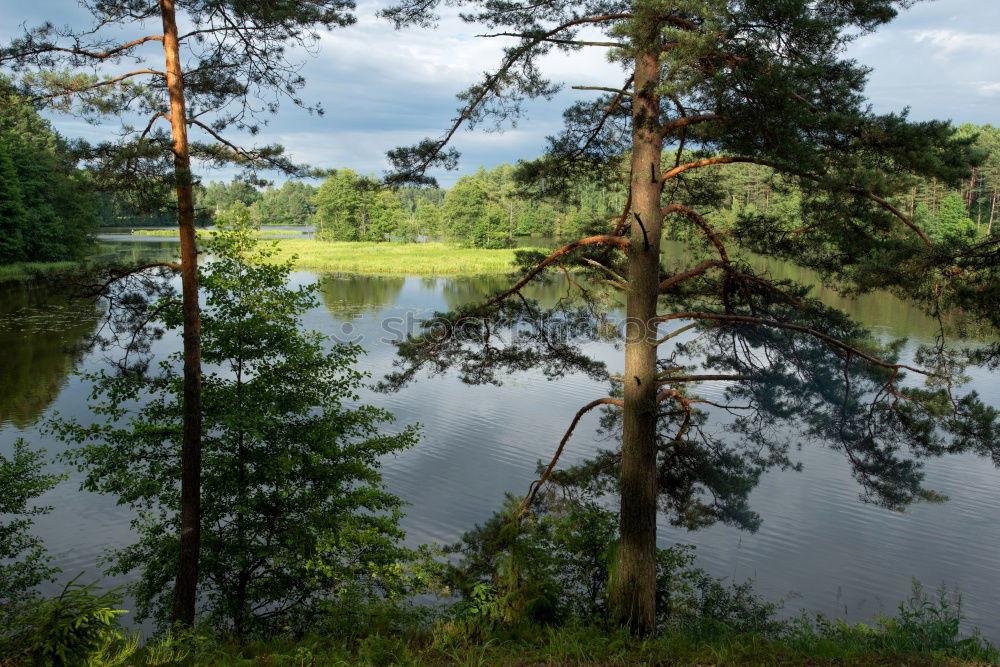 Similar – Image, Stock Photo Romantic lake with island passage and trees.