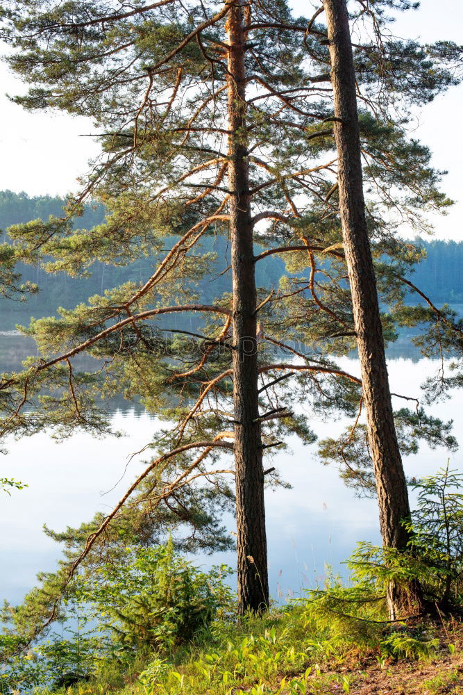 Similar – Swimming lake in Sweden