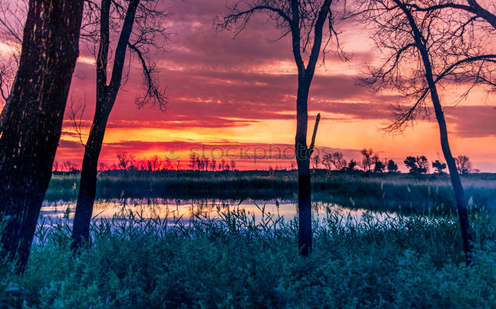 Similar – Image, Stock Photo The lake rests still