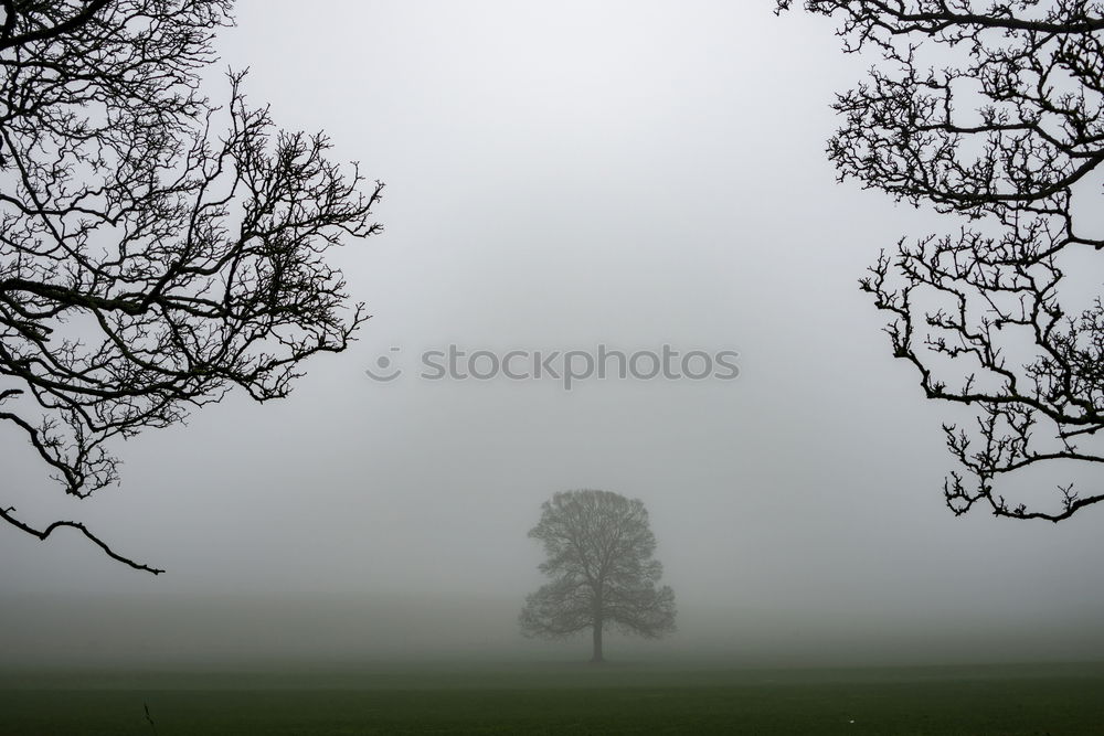 Similar – Image, Stock Photo ParkBank Nature Landscape