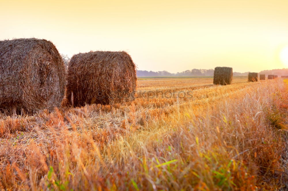 Similar – Image, Stock Photo Harvester on a field