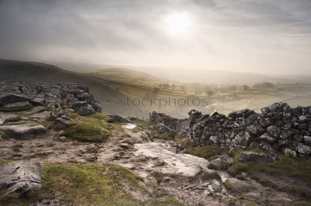 Similar – Dartmoor Pony Relaxation