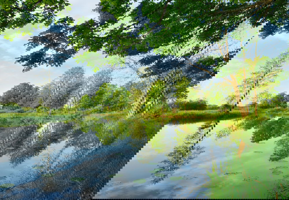 Similar – Image, Stock Photo green Idyll Paradise