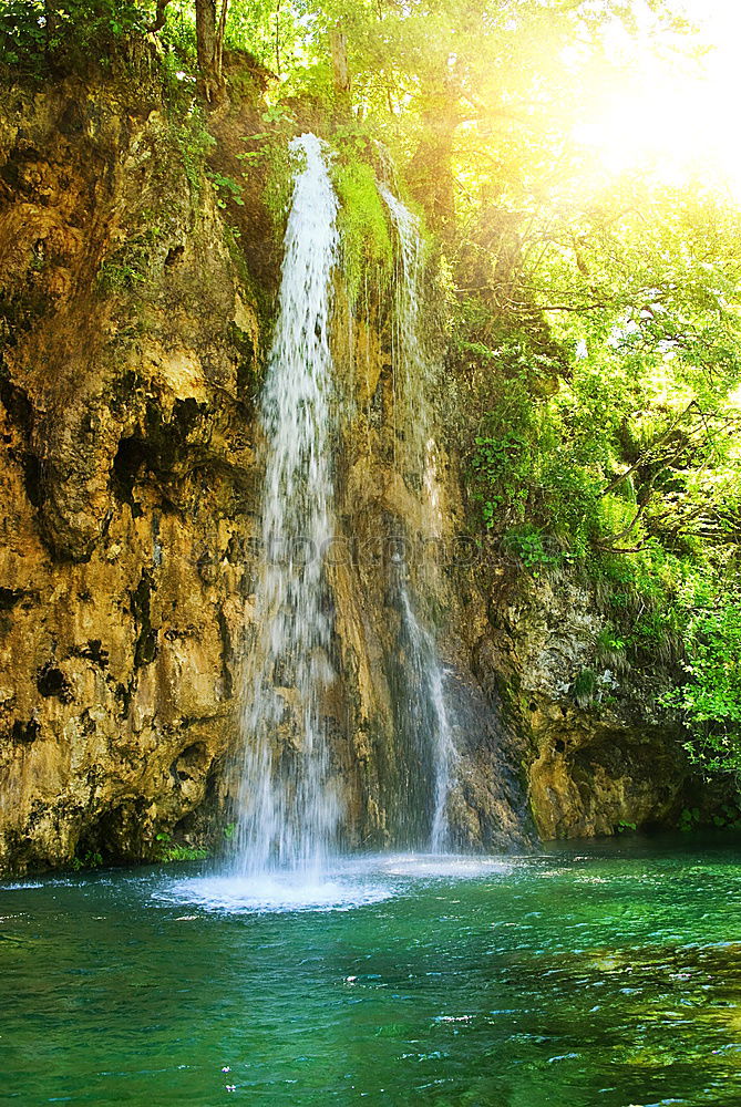 Similar – YS Waterfall Jamaica