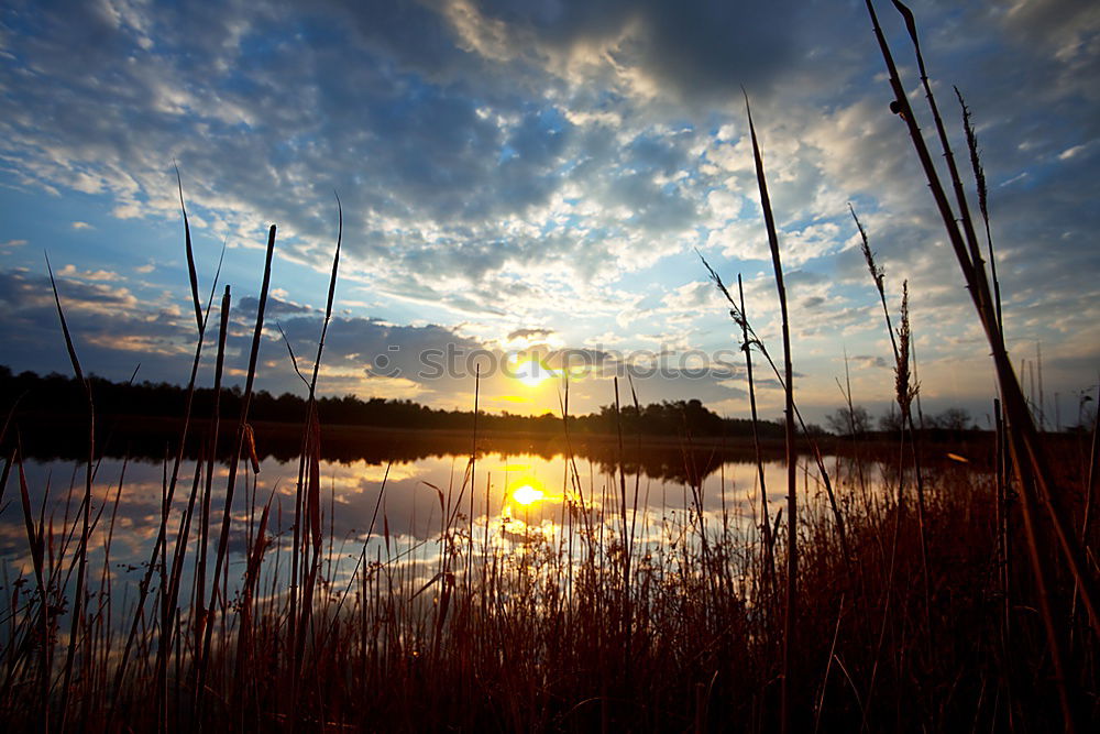 Similar – Sunset at the river Havel