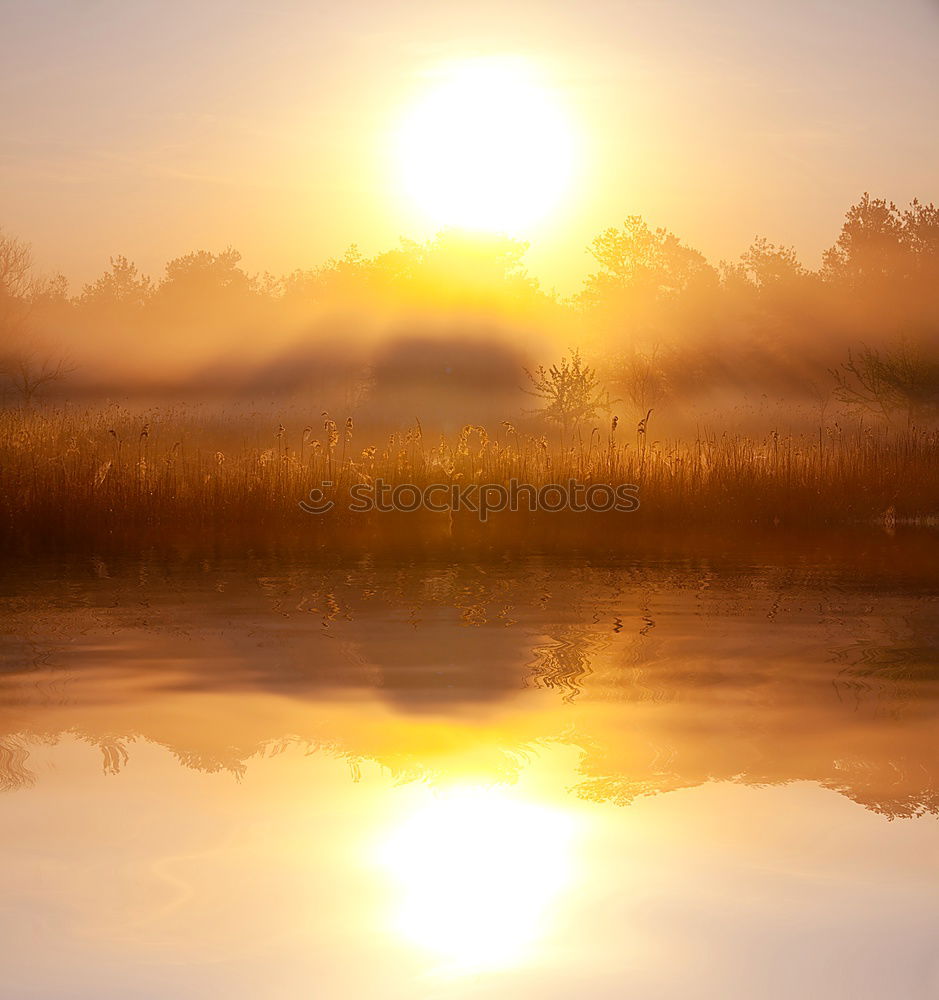 Similar – Landscape of a sunset in the sea