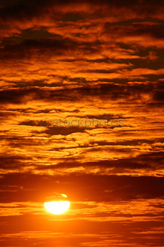 Similar – Image, Stock Photo sundown Sunset Forest Sky