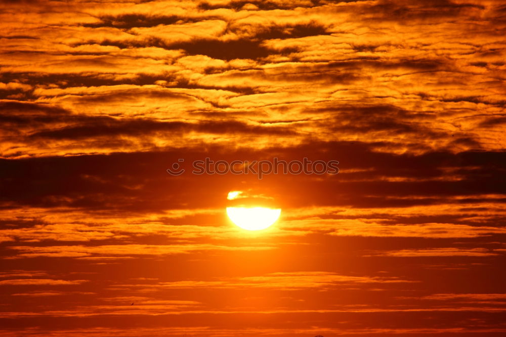 Similar – Foto Bild Sonnenuntergang Baum rot